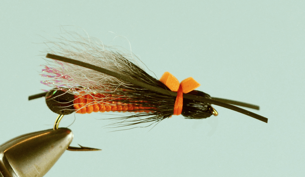 Salmon Fly Tying