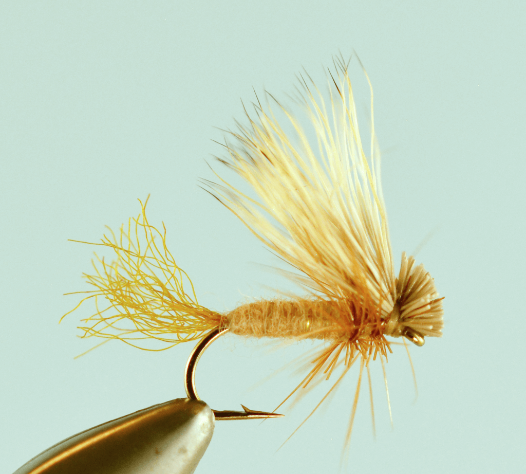 Top 4 Tan Caddis Fly Patterns - The Missoulian Angler Fly Shop