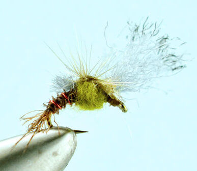 Blue Winged Olive BWO Classic Trout Dry Fly Fishing Fly - Hook Size 18