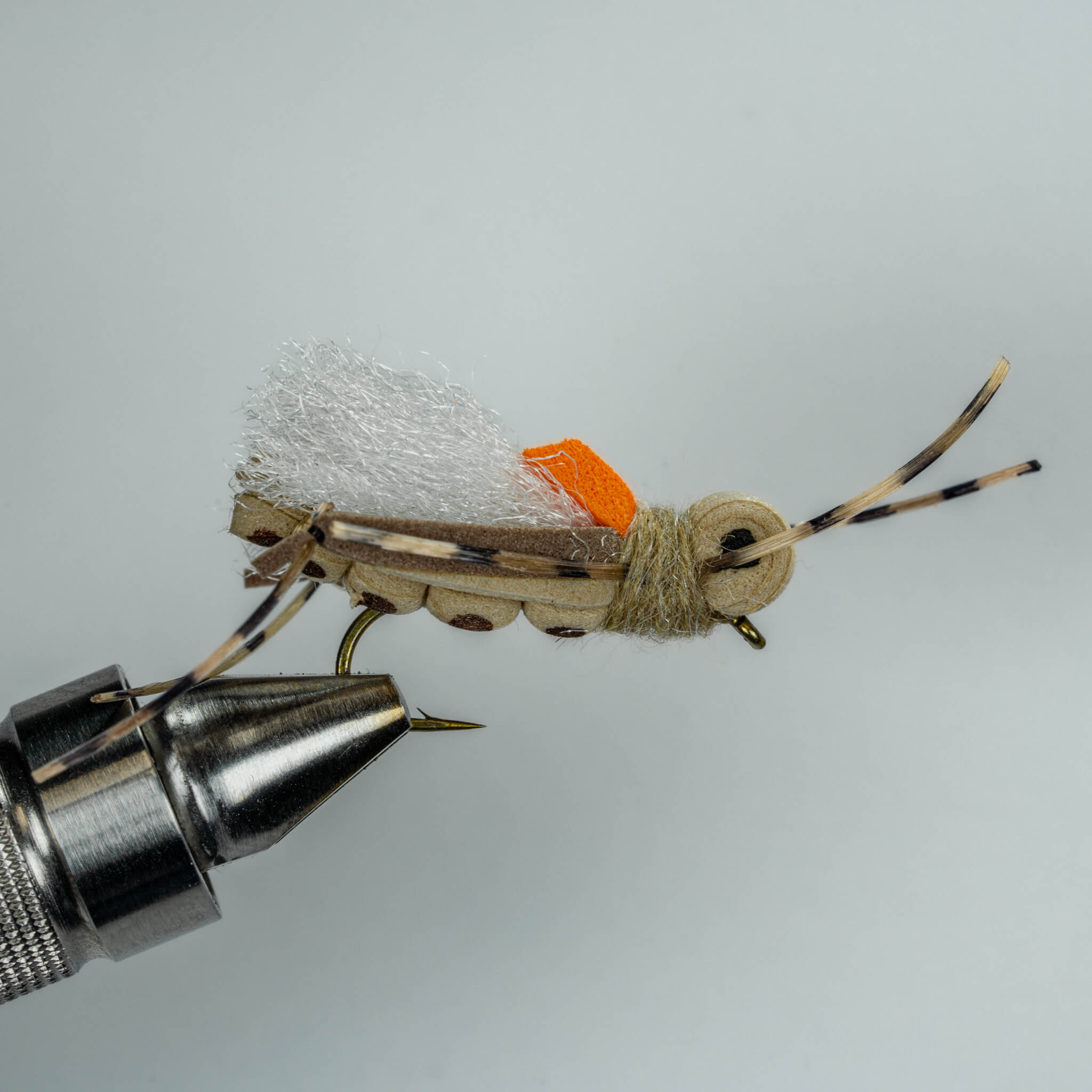 What are the Different Types of Flies in Fly Fishing [12 Proven