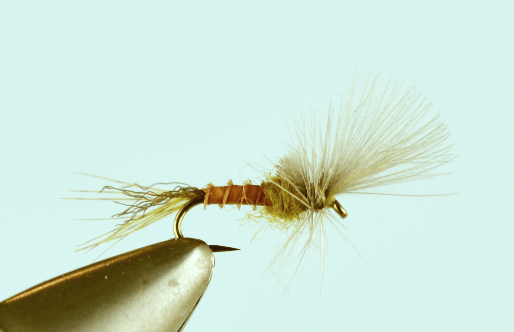 Top 6 Blue Winged Olive Fly Patterns - The Missoulian Angler Fly Shop
