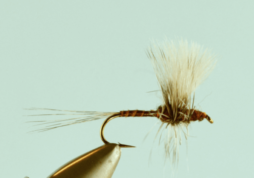 Thorax Mahogany - The Missoulian Angler Fly Shop