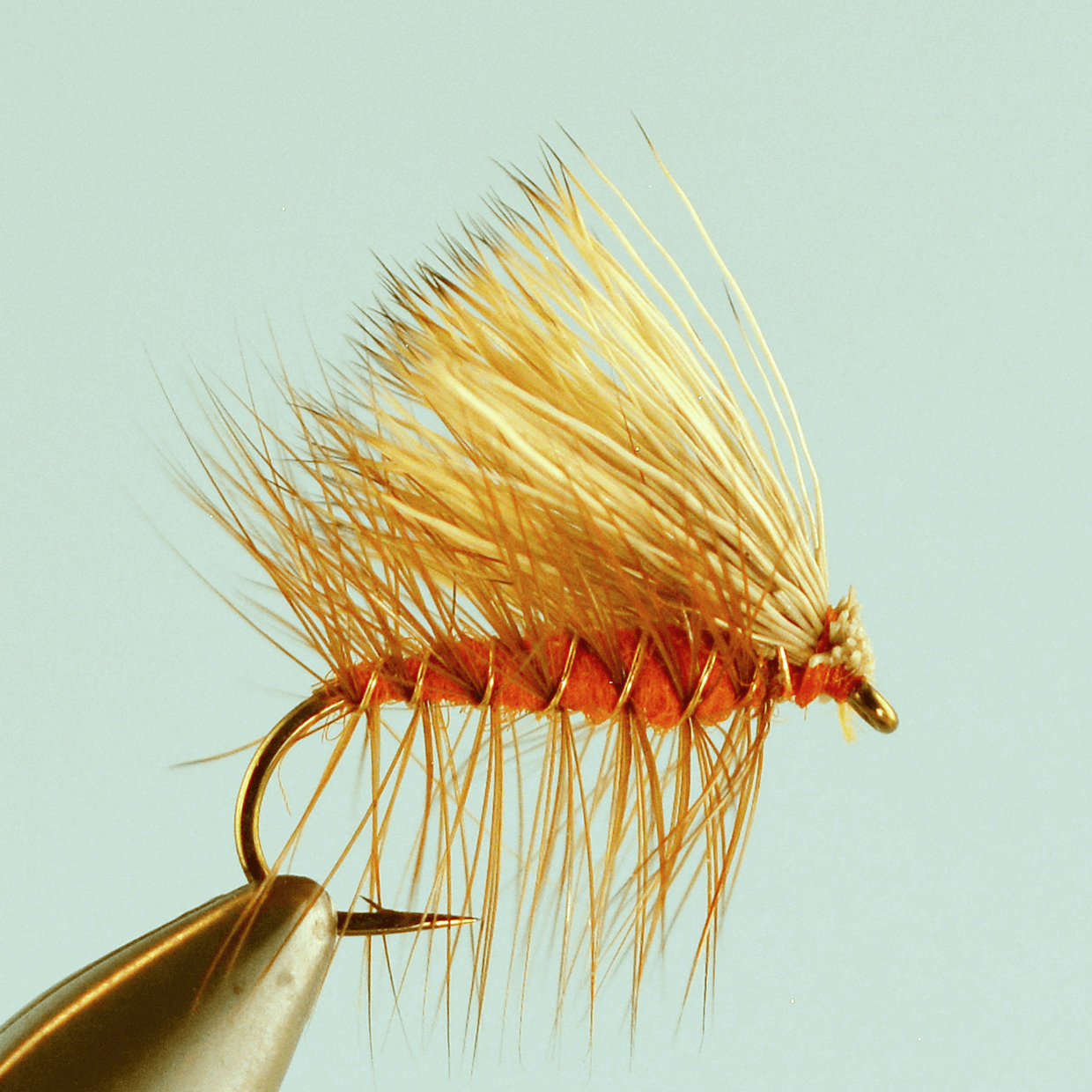 Elk Hair Caddis Orange - The Missoulian Angler Fly Shop